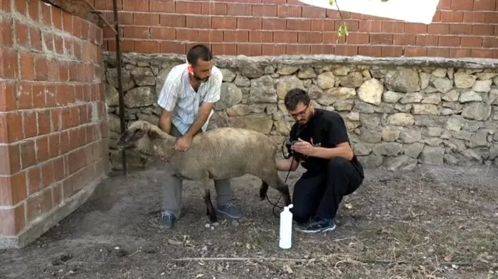 Yenisehir Namaz Vakitleri