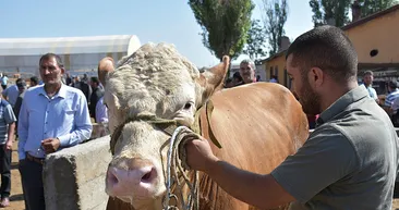 ’Talisca’ ucuza gitti!