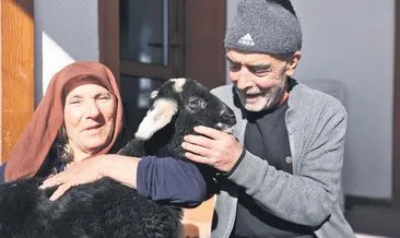 Karda mahsur kalan çift kuzusuna kavuştu #antalya