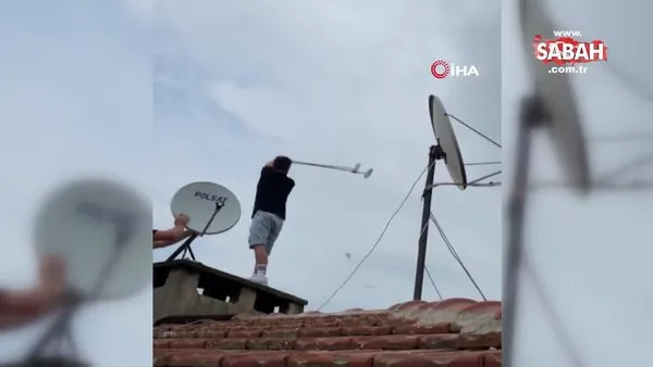 Martılar anten tamircisini çatıda rahat bırakmadı | Video