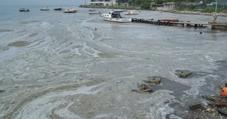 Marmara’da müsilaj tehlikesi! Eğer sıcaklıklar artarsa...