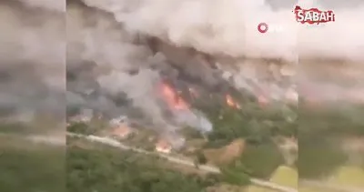 Portekiz’de 14 noktada orman yangını | Video