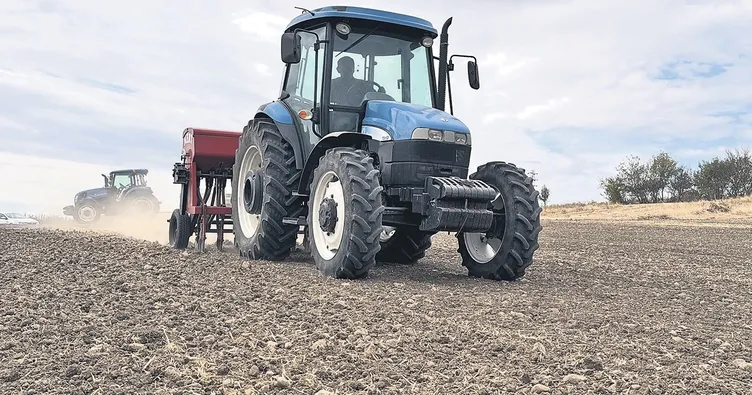 Çiftçinin umudu kanola oldu