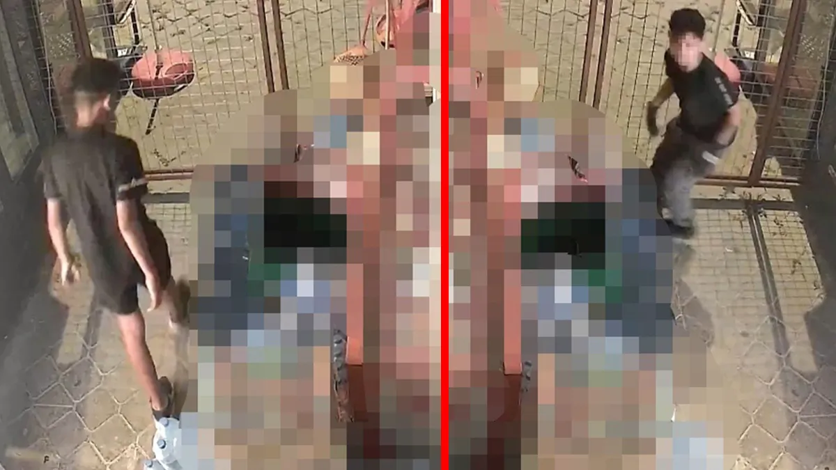 Aydın’da akılalmaz hırsızlık! Kapı kilidini kırıp ne varsa çaldılar: Çocukların pişkin tavırları kameraya böyle yansıdı! Aydın’da akılalmaz hırsızlık! Kapı kilidini kırıp ne varsa çaldılar: Çocukların pişkin tavırları kameraya böyle yansıdı!