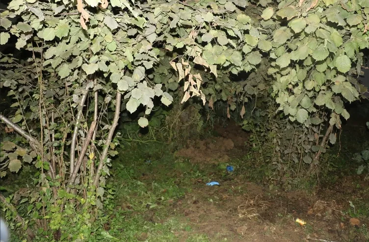 2 günlük bebeğini fındık bahçesine gömdü: Cani anne hakkında yeni gelişme!