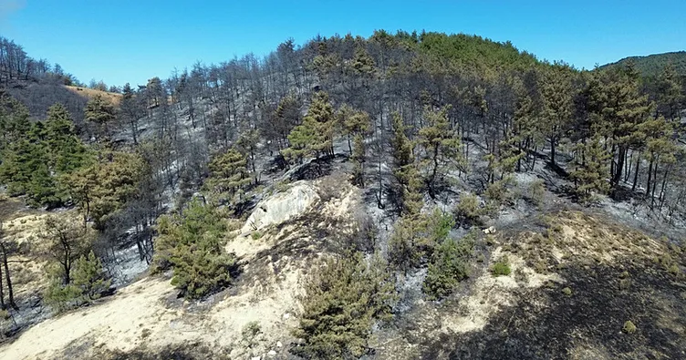 Türkiye alarmda: 47 ilde ormanlara giriş yasaklandı! Yangın riski zirvede