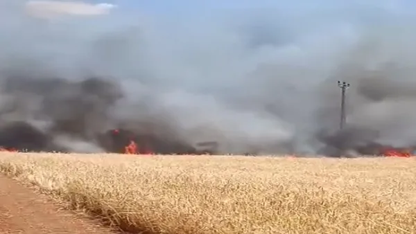 sanliurfada-300-donum-bugday-alevlere-teslim-oldu-1781799294917.jpg