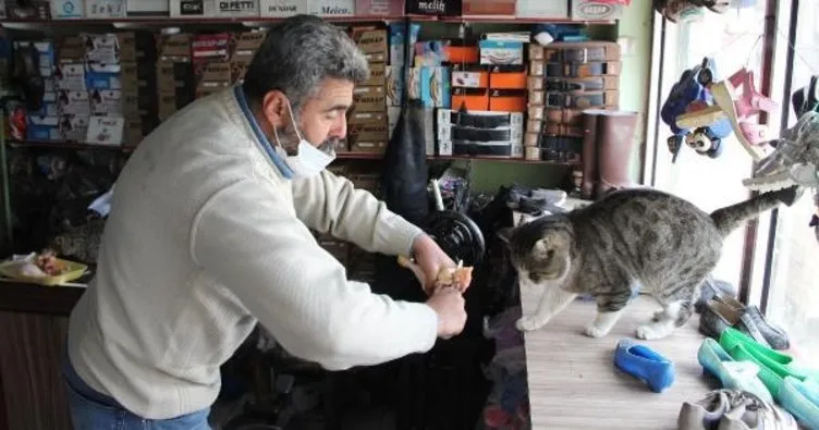 3 yıl önce sahiplendiği ’Çolak’, sokak kedilerine bakışını değiştirdi