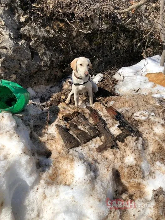 Siirt Eruh'ta PKK'lı teröristlerin 3 sığınağı imha edildi