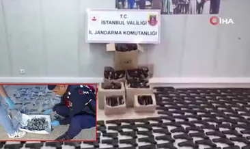 İstanbul ve Adana’daki dev operasyonda ortaya çıktı! Yüzlerce ruhsatsız silah ele geçirildi