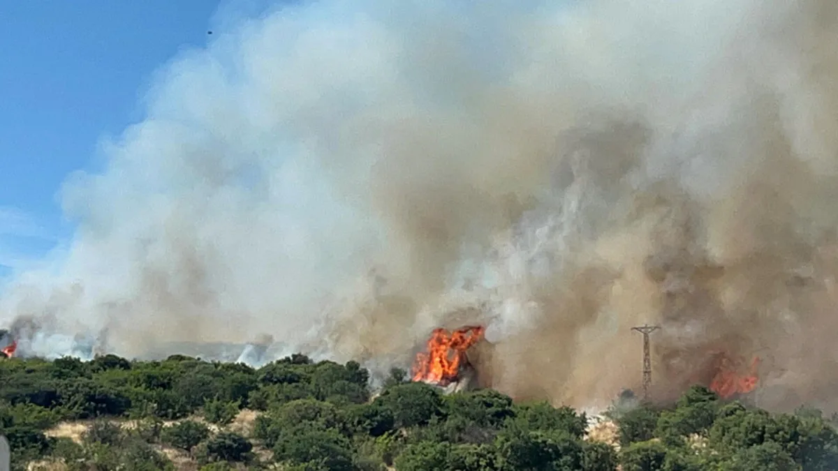 Çanakkale'de ormanlık alanda yangın! Alevlere havadan ve karadan müdahale sürüyor
