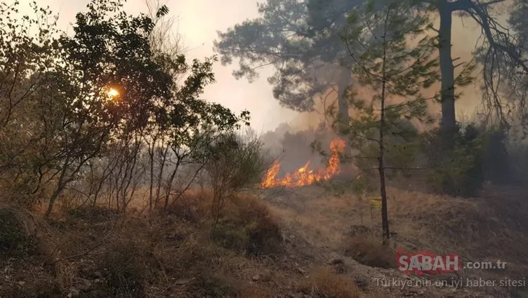Antalya Kumluca’da orman yangını çıktı! Bakan Pakdemirli: Bu yıl 2 bini geçti...