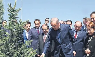 ‘Çevre sorunlarının takipçisiyiz’