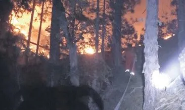 Piknikçi ateşi 30 hektarı yaktı #kutahya
