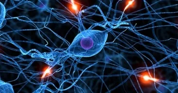 Hangi kanser türü nasıl önleniyor?