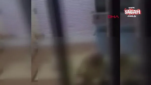 60 yaşındaki adam köpeğe cinsel saldırıda bulunurken böyle görüntülendi, gözaltına alındı | Video