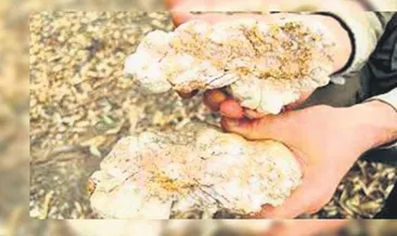 Amatör madenci altın kaya buldu