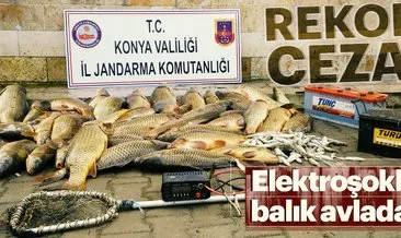 Elektroşokla balık avına 32 bin lira ceza