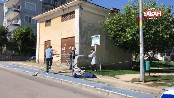 pornoturk feight info