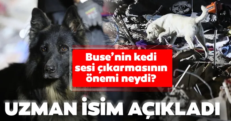 En Iyi Koku Alan Hayvan