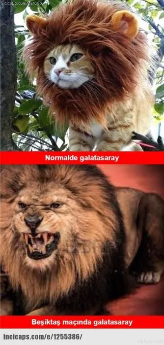 Galatasaray - Beşiktaş maçı caps’leri