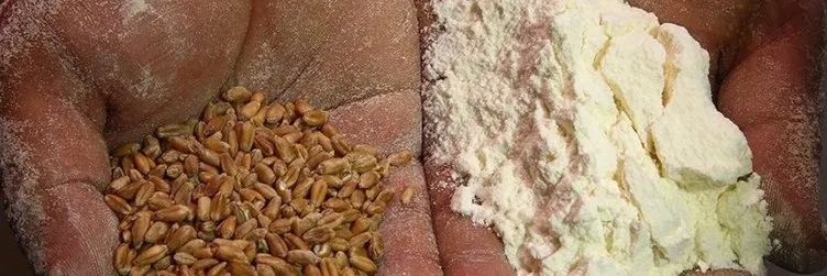 Türkiye’nin tarım gerçekleri: 5 yalan 5 gerçek!