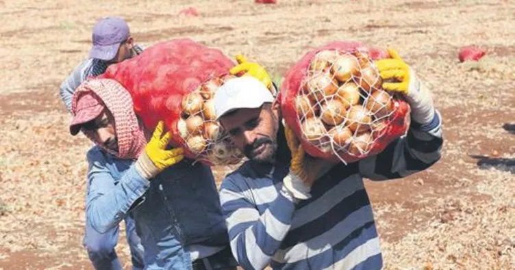 Mevsimlik işçileri devlet taşıyacak