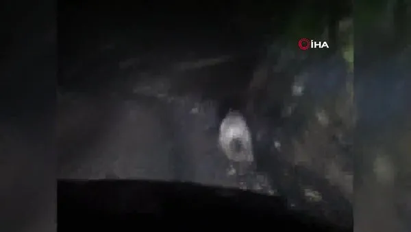 Kütahya'da off-road ekibi yola çıkan ayıyı araçlarıyla kovaladı!