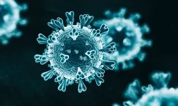 Son dakika haberleri: Corona virüs mutasyonu paniği büyüyor! İngiltere’nin ardından bir ülkede daha corona mutasyonu tespit edildi