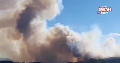 Fransa’da orman yangını: 620 hektarlık alan kül oldu | Video