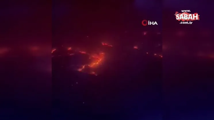 Brezilya'da orman yangını: 20 bin hektarlık alan küle döndü | Video