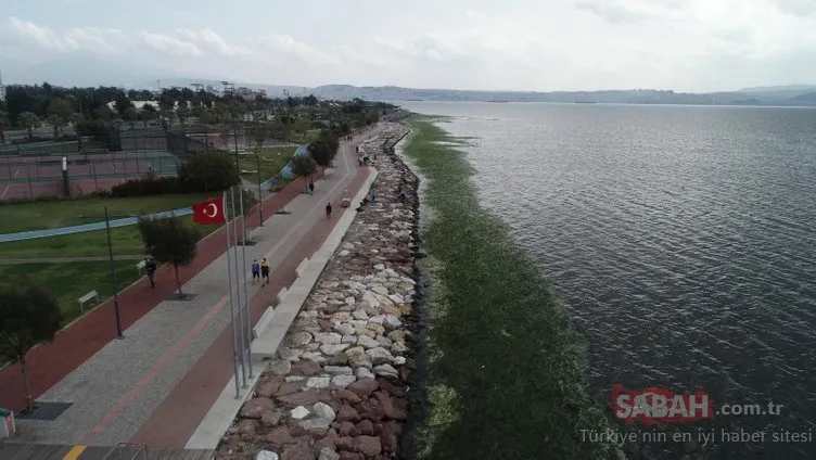İzmir’de şaşırtan görüntü... Sahil boyu, ’deniz marulu’ yosunlarla doldu