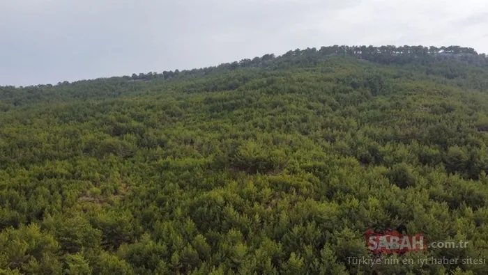 3 yasindaki muslume nin olum nedeni belli oldu mu yoruk kizi muslume neden ve nasil oldu olum nedeni ne muslume yagal olduruldu mu son dakika haberi son dakika spor haberleri 3 yasindaki muslume nin olum nedeni belli oldu mu yoruk kizi muslume neden ve nasil oldu olum nedeni ne muslume yagal olduruldu mu son dakika haberi son dakika spor haberleri