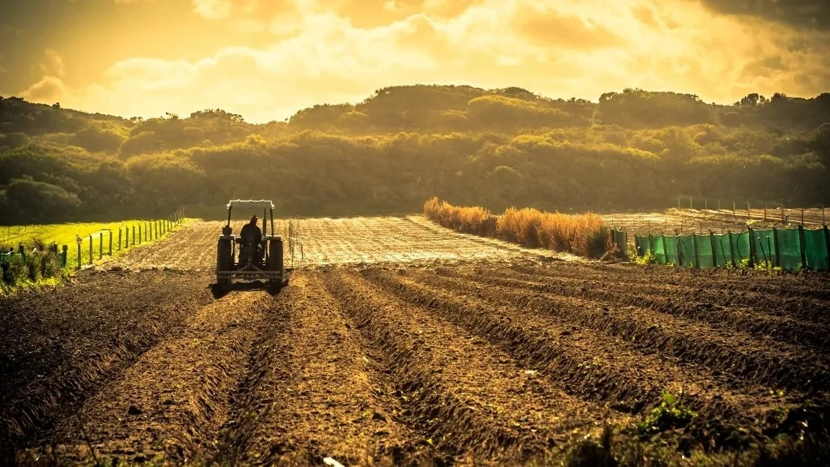 Mazot ve gübre desteği ödemeleri sorgulama! 2026 Mart Mazot ve gübre desteği ödemeleri yattı mı?