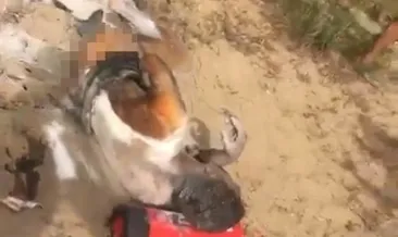 Antalya’da bunalıma giren şahıs hem kendini hem de ormanı ateşe verdi