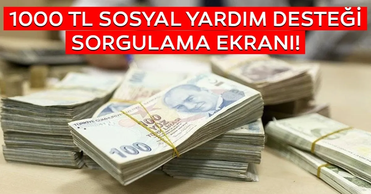 son dakika 1000 tl sosyal yardim destegi parasi basvuru ve sorgulama ekrani 1000 tl pandemi sosyal yardim parasi basvurulari nasil yapilir kimler yararlanabilir son dakika haberler