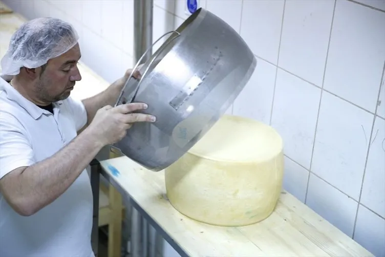 Avrupa’nın ünlü peynirleri Antalya’da üretiliyor