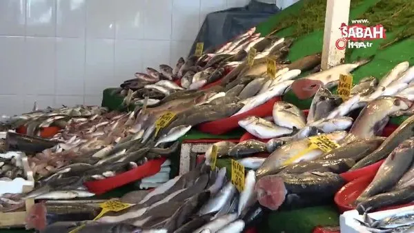 Son dakika: Korkulan oldu! Van’da yediği balon balığından zehirlenen kişi öldü | Video