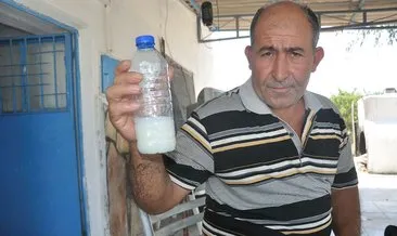 Son Dakika: Kanser hastalarına ücretsiz eşek sütü dağıtıyor