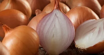 Her gün tüketiyoruz fakat mide yanmasına sebep oluyor! İşte mide yanmasına neden olan besinler