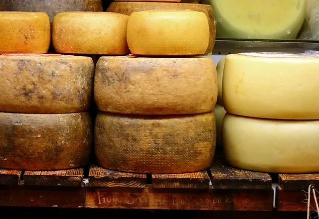 Peynir kanser hücrelerini öldürüyor mu?