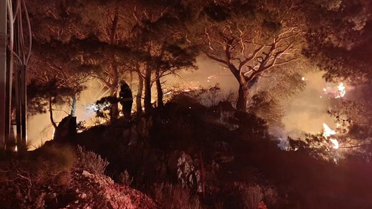 Bodrum’da ormanlık alanda yangın: 2 dönüm alan zarar gördü Bodrum’da ormanlık alanda yangın: 2 dönüm alan zarar gördü