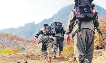 İkna yoluyla teslim oldu