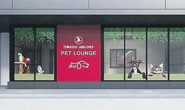 İstanbul Havalimanı’na evcil hayvanlar için “Pet Lounge”