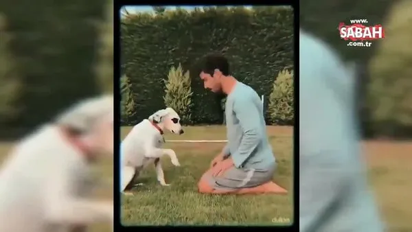 Hadise, sevgilisi Kaan Yıldırım'ın köpeği Benek'i çok sevdi | Video