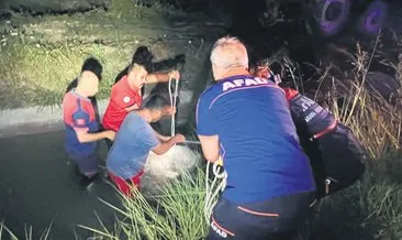 Sulama kanalında feci ölüm