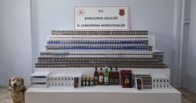 Viranşehir'de tütün ve alkol operasyonu! 72 şüpheli yakalandı #sanliurfa