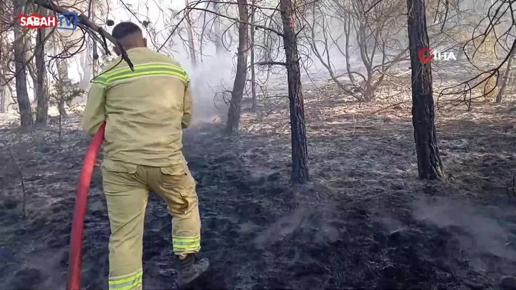 Amasya'da orman yangını: 10 dekar ormanlık alan ve 15 dekar tarım arazisi yandı | Video