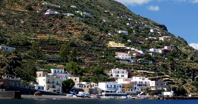 Tüm bölgeyi istila ettiler! Halk isyanda: Lütfen bizi kurtarın!