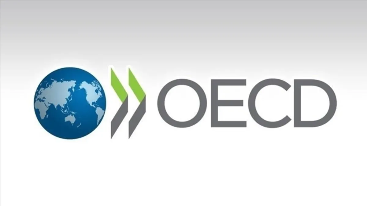 OECD Türkiye'nin büyüme tahminini yükseltti